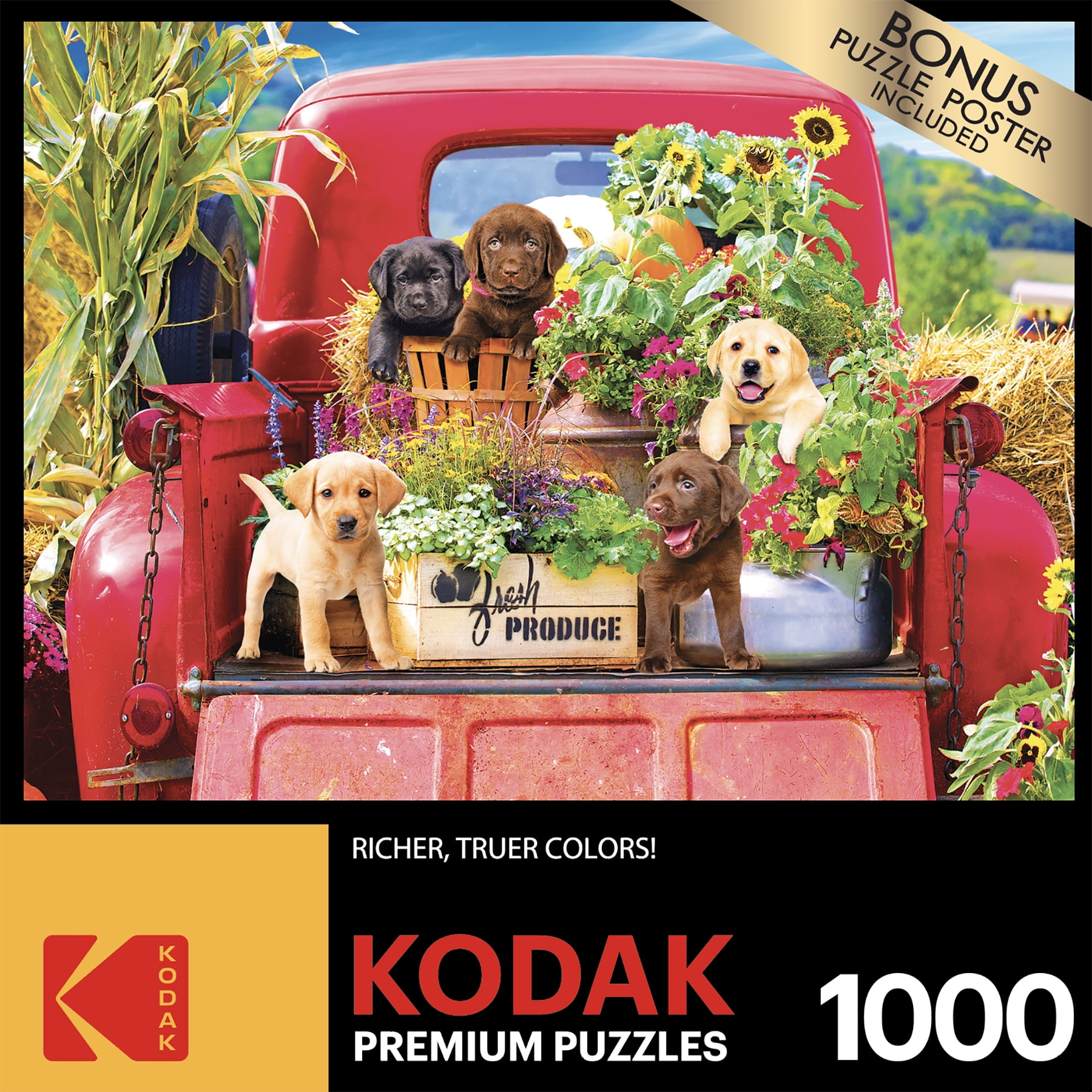Kodak 1000 Piece Jigsaw Puzzle - Stowaways