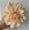 Champagne, variant on 10 Pcs Faux Dahlia Heads, 3.9 Inch Silk Artificial Dahlia Flowers Heads for Wedding Bridal Shower Party Table Centerpiece, (Dark Green)