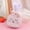 Pink 5Pcs, variant on 5Pcs Easter Bunny Gift Bags with Drawstring, Velvet Bunny Ear Bags for Candy & Eggs, Small Party Favors for Easter Egg Hunt, Basket Stuffers, Kids Party Supplies (Light Blue, 5.5x4.3 Inch)
