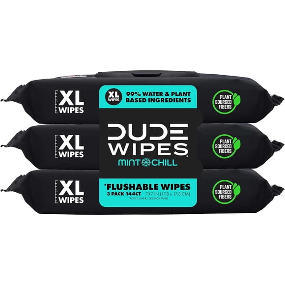 GFDYREE DUDE Wipes Flushable Wet Wipes Dispenser, Mint Chill, 48 Count (Pack of 3) Scented Wet Wipes with Vitamin-E, Aloe, Eucalyptus & Tea Tree Oils for at-Home Use, Septic and Sewer Safe