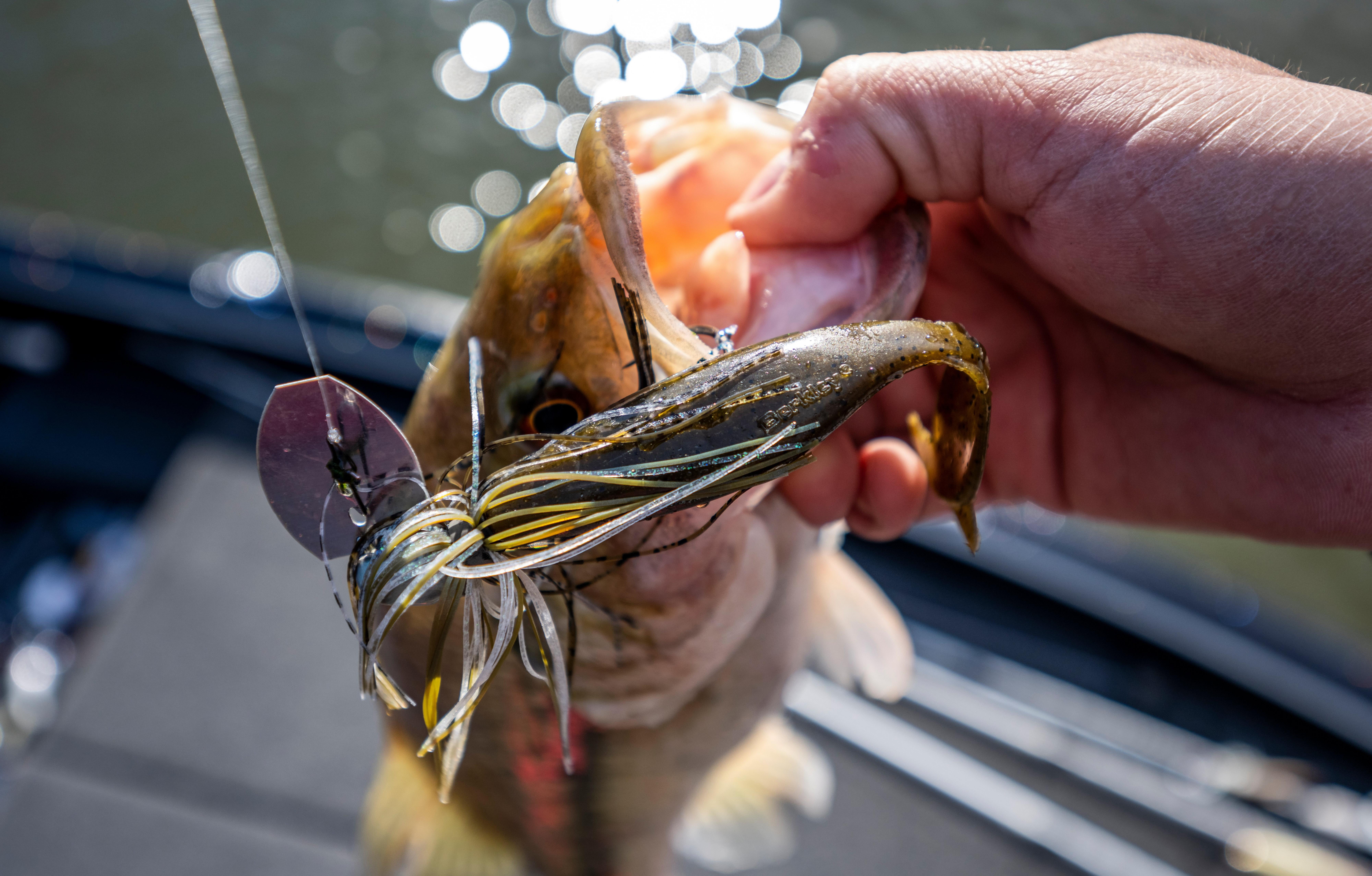 Berkley PowerBait The Deal Soft Fishing Bait
