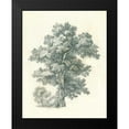 thumbnail image 2 of Wild Apple Portfolio 15x18 Black Modern Framed Museum Art Print Titled - Tree Study I, 2 of 5