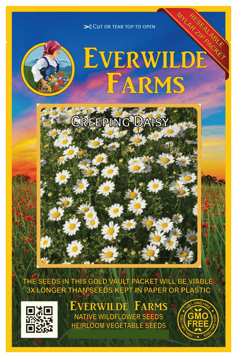 Everwilde Farms 1 Oz Creeping Daisy Garden Flower Seeds Gold Vault