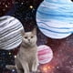 thumbnail image 4 of Juguete interactivo para gatos, pelota para gatitos con colores brillantes y ejercicio saludable, 9 Uds., 4 of 5