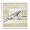 thumbnail image 4 of Stupell Industries Flying Heron Sand Textured Background Natural Tones,17 x 17, Design by Patricia Pinto, 4 of 5