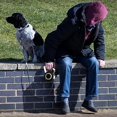 thumbnail image 3 of Retractable Dog Leash, 360 Tangle-free Heavy Walking Dog Leash Ribbon _jiue, 3 of 5