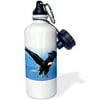 3dRose Bald Eagle, Sports Water Bottle, 21oz