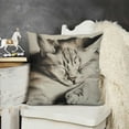 thumbnail image 2 of YINGXI  Cat Throw Pillow Covers Animal Painting Pillow Cases Pet Farmhouse Decorative Cushion Covers for Sofa Couch 20x20in, 2 of 5