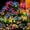 Multicolor, variant on Solar Garden Lights Outdoor, 4 Pack 2-Layer Swaying Firework Lights,  Starburst Fairy Light Garden Decor for Yard Patio Pathway Lawn, Gardening Gifts for Women Mom Grandma Mother's Day