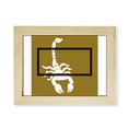 thumbnail image 1 of Scorpion Natural Insect Box Desktop Photo Frame Picture Art Decoration Painting 6x8 inch, 1 of 3