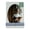 Gray, variant on Granite Gray Picture Frame Mat for 13x19 Frames - Oval Opening for 11.7x16.5 Photos - 1 Mat