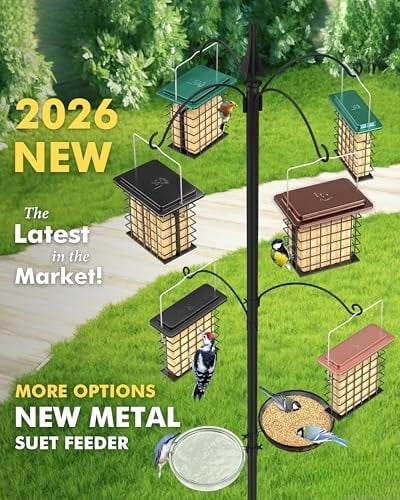 Double Suet Feeder for Outside Hanging,Weatherproof Suet Feeders,Suet Holder with Taller Grid for Woodpecker, Suet Cage Bird Feeders for Outdoors (Coffee, 6 Inch,1 Pack)