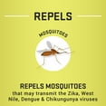 thumbnail image 5 of Repel Plant-Based Lemon Eucalyptus Insect Repellent, DEET-Free, 4 Ounces, 5 of 13