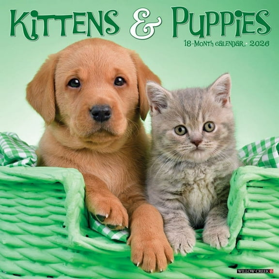 Willow Creek Press, Kittens and Puppies 2026 Wall Calendar, 12'' X 12'', 18-Month Calendar with Stapled Binding