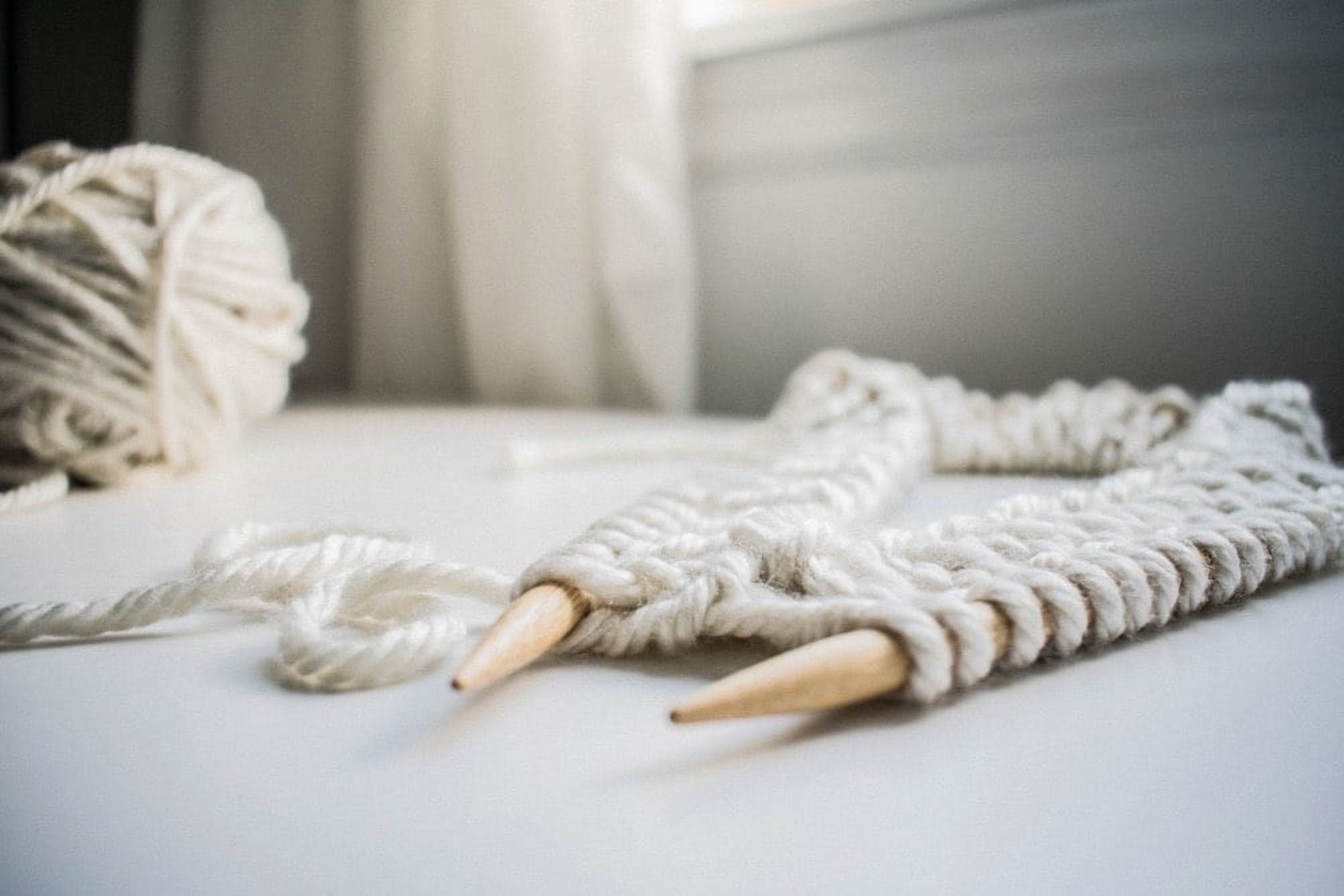 (2 pack) Lion Brand Yarn Hometown Salem Creek 135-222 Super Bulky Acrylic Yarn