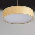 thumbnail image 4 of 10226GC Prime Single Light 20" Wide LED Pendant, 4 of 5