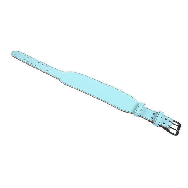 Powerlifting Belt, High Fit EVA Cushion Weightlifting Belt Waist Support Adjustable Prevent Injury for Squat Blue