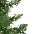 thumbnail image 5 of Northlight Pre-Lit Full Northern Pine Commercial Artificial Christmas Tree - 16' - Clear Lights, 5 of 8