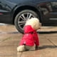thumbnail image 5 of Chubasquero ajustable para perros pequeños y medianos, chaqueta de tela transpirable con capucha para clima frío, compatible con arnés y bolsillo trasero elegante, 5 of 6