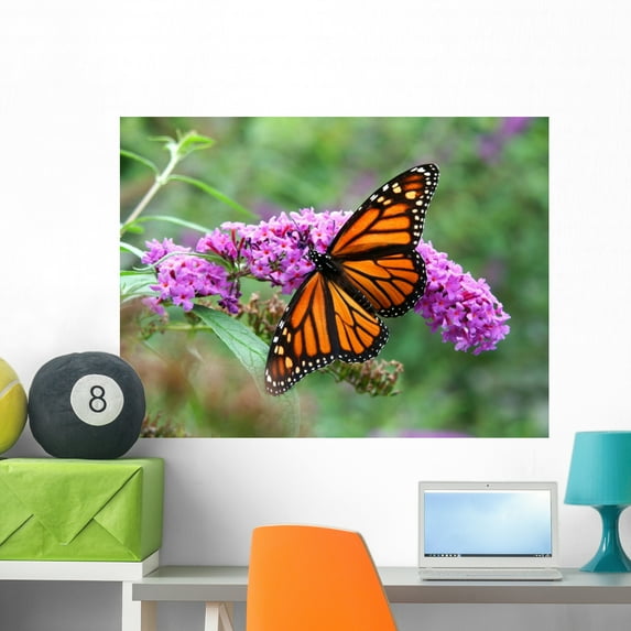 Monarch Butterfly Wall Mural Decal by Wallmonkeys Vinyl Peel and Stick Graphic (36 in W x 27 in H)