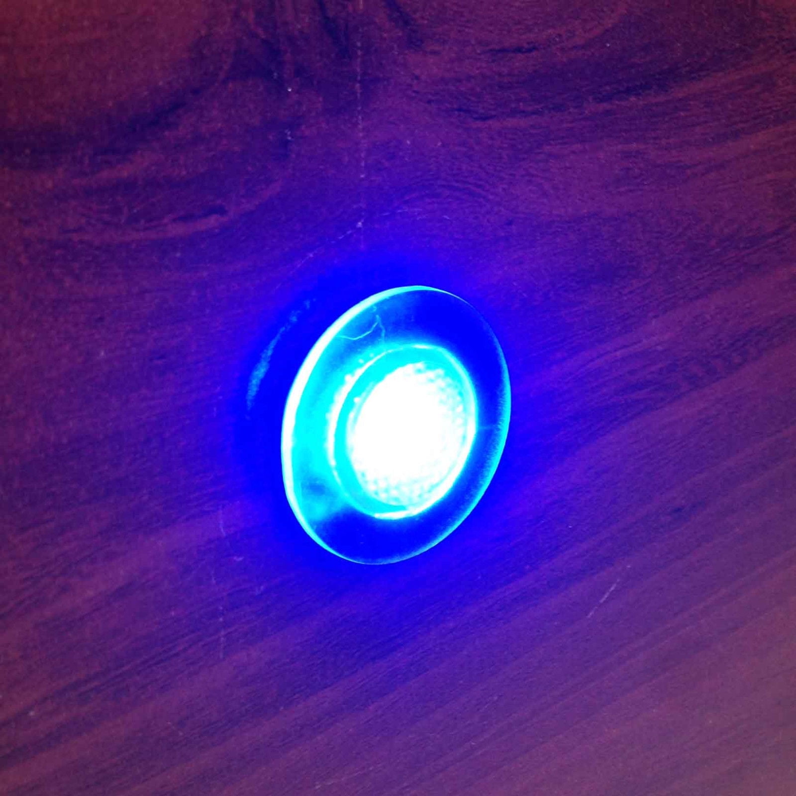 Pactrade Marine Boat LED Livewell 12 V Button Blue Courtesy Light