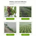 thumbnail image 5 of 1 Piece Transparent Anti-Bird Netting, Suitable for Grapes, Greenhouse, Fish Pond and Orchard-Durable Pp Material, White, 5 of 7