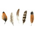 thumbnail image 2 of Popp, Grace 14x9 Gold Ornate Wood Framed with Double Matting Museum Art Print Titled - Red Rock Feathers I, 2 of 4