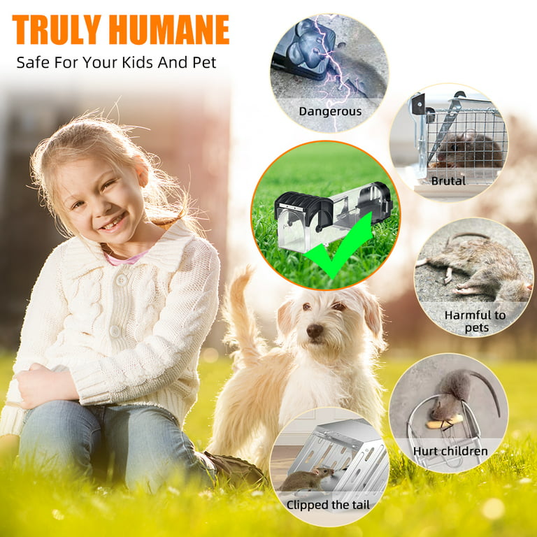Humane Catch and Release Indoor/Outdoor Mouse Traps Pack of 2 - Easy Set  Durable Traps, Safe for Children, Pets and Humans
