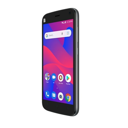 BLU C5 2019 C110L 16GB GSM Unlocked Phone - Gray (Best Phone For The Money 2019)