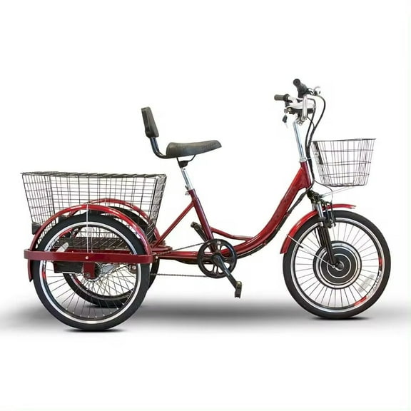 High-Power Adult Motorized Electric Tricycle - 1000W Motor & 48V Battery