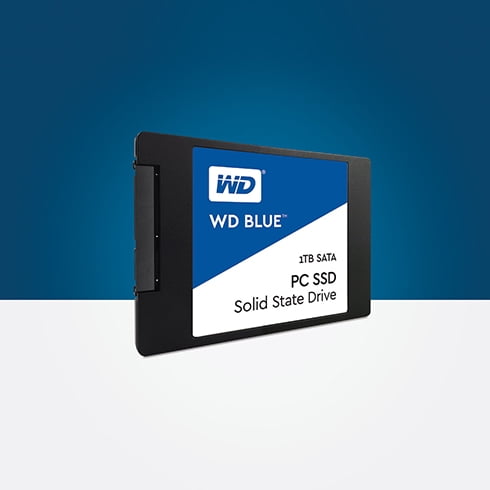 WD Blue 2.5-Inch 3D NAND SATA SSD 1TB - WDBNCE0010PNC-WRSN