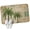 Green, variant on Front Door Mat 15.7"x23.6", Vintage Tree Non Slip Backing & Low Profile Doormats, Absorbent Muddy Dirt Trapper Door Mats for Front Back Door Entryway All-Weather Summer Botanical Retro Tropical
