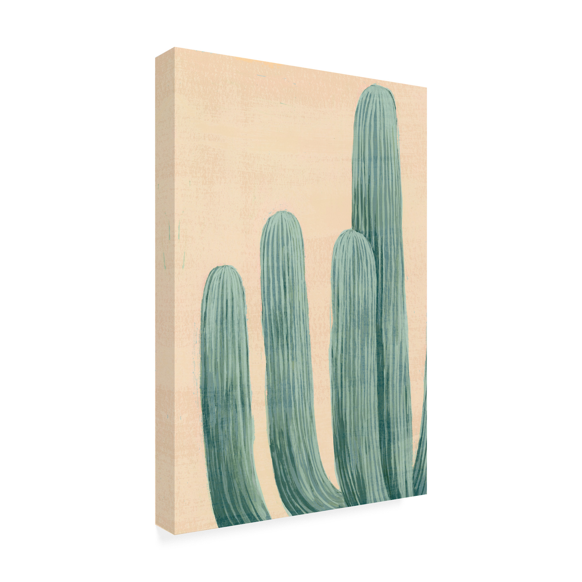Trademark Fine Art 'Dusty Cacti I' Canvas Art by Grace Popp