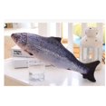 thumbnail image 5 of Forme de Poisson Lavable Réaliste Chaton Chat Menthe Jouer Velours Cataire Jouet Interactif, 5 of 5