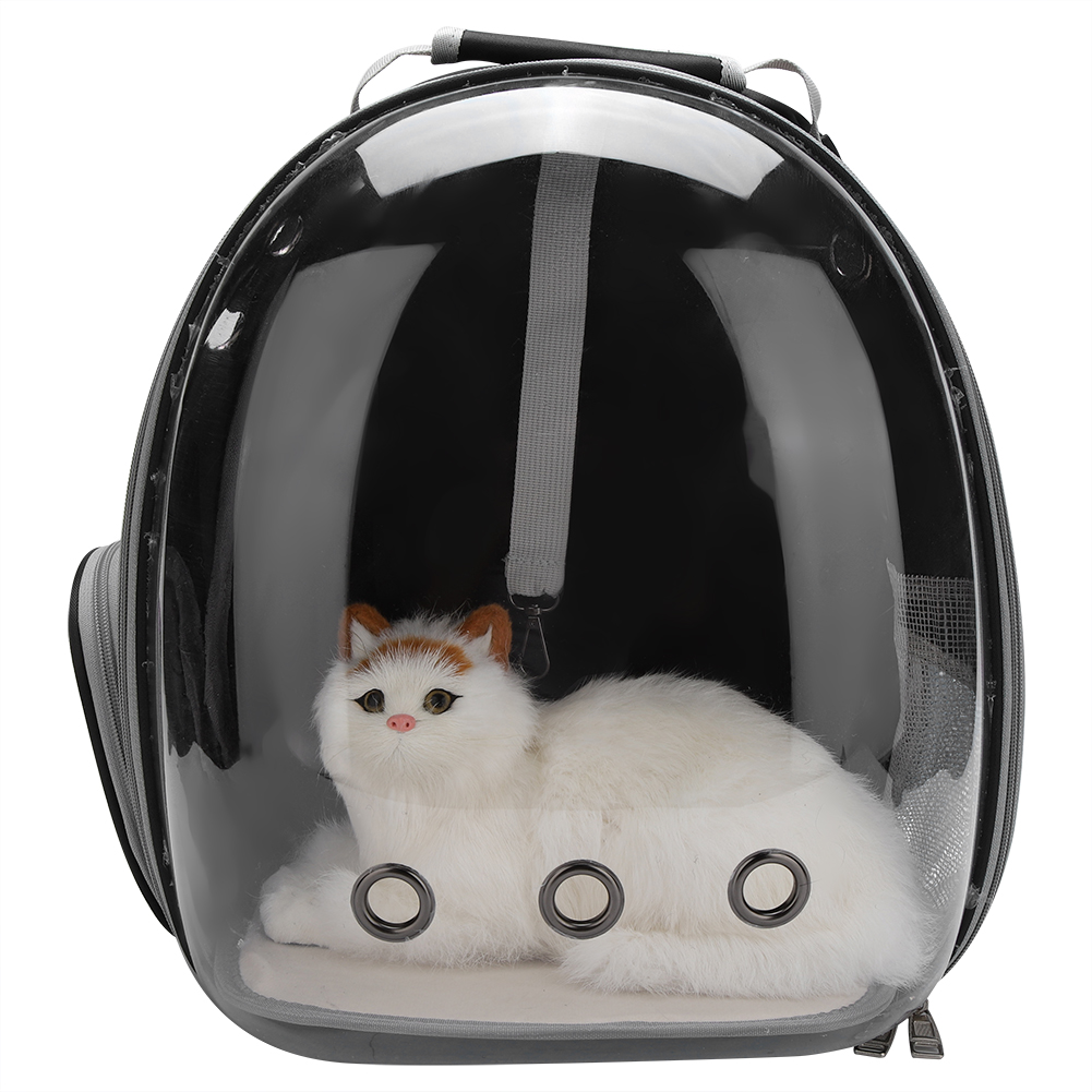 cat space capsule