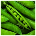 thumbnail image 1 of Everwilde Farms - 1 oz Early Frosty Garden Pea Seeds - Gold Vault Bulk Seed Packet, 1 of 3