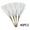White, variant on 40PCS Artificial Pampas Grass Decor – 21.65" Fluffy Bohemian Reed Stems for Wedding, Home, Vase Arrangement (Hypoallergenic, No Shedding)