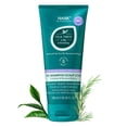 thumbnail image 4 of Scalp Scrub HASK Prechampú con aceite de árbol de té y romero, paquete de 2, 4 of 8