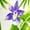 FLORAL PINEAPPLE, WHITE, variant on Men's Hawaiian Shirts Short Sleeve Button Down Shirt Mens Party Shirts Casual Vacation Summer Tropical Island Shirts for Men Funny L Lapis, Floral