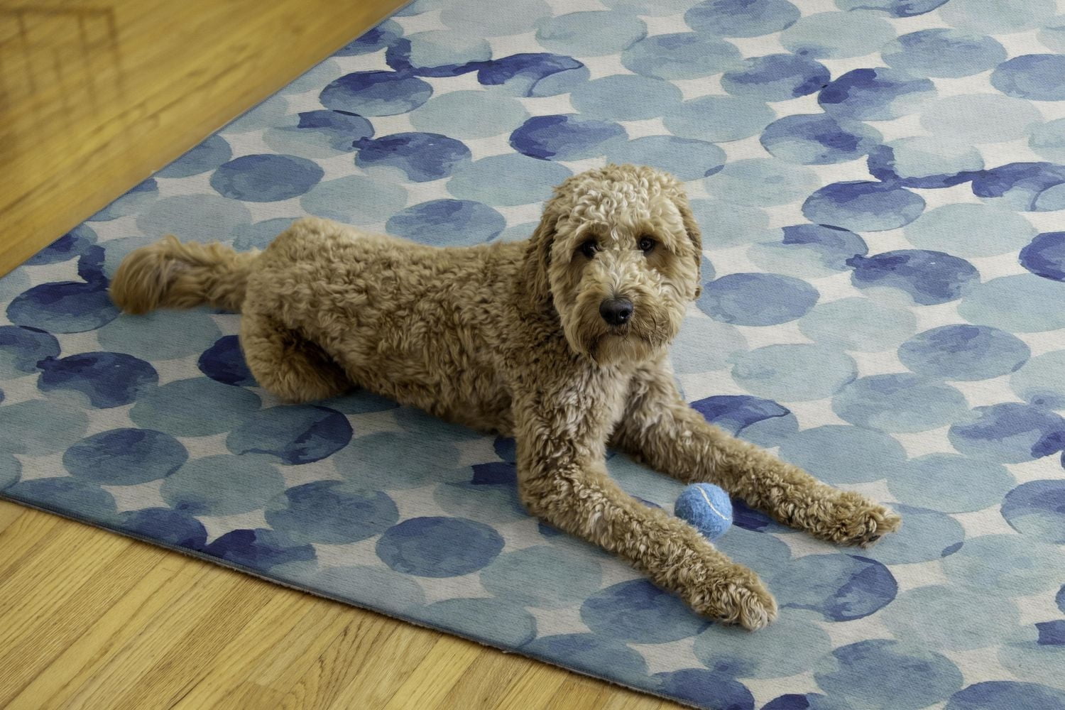Outdoor Washable Lakeland Blue & Ivory 7' x 9' Area Rug