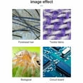thumbnail image 3 of WiFi USB Microscope Camera, 50X To 1000X Magnification 550mAh  Digital Microscope  for PC for Observing, 3 of 7