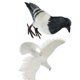 thumbnail image 1 of Paloma Artificial Paloma de Pie Emplumada Realista Gris a + B Sunnimix Artificial Pigeon Decoy, 1 of 8