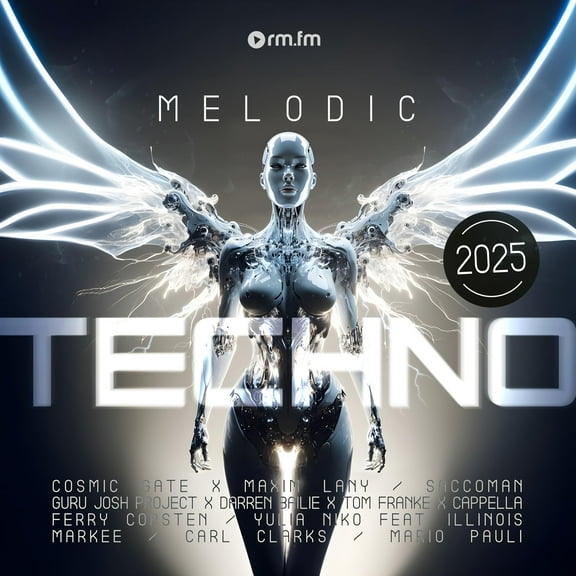 Various Melodic Techno 2025 (Vinyl Record)