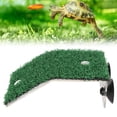 thumbnail image 4 of Ramp, Relieve Stress  Nail Grinding Reasonable Climbing Angle Small  Basking Platform Simulation Grass Enhance Immunity  For Salamanders S,M,L, 4 of 8