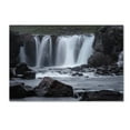thumbnail image 2 of Trademark Fine Art 'Go With the Flow' Canvas Art by Philippe Sainte-Laudy, 2 of 4