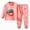 H234-Light Pink, variant on TOWED22 2pcs Toddler Baby Girl Boy Fall Winter Clothes Long Sleeve Hooded Sweatshirt Tops Casual Pants Set Print Outfits Clothing(Pink,18-24 M)