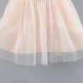 thumbnail image 4 of Spring Kids Toddler Girls Love Heart Tulle Lace Tutu Princess Dress,1-8Y, 4 of 6
