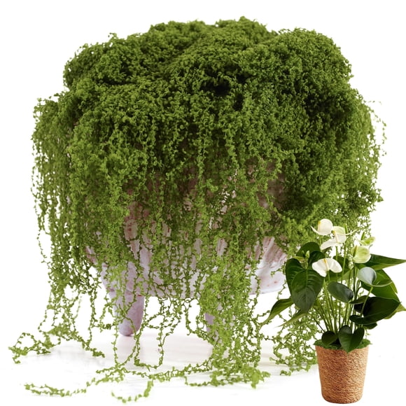 Musgo artificial USMOLA de 7 oz verde para plantas de interior