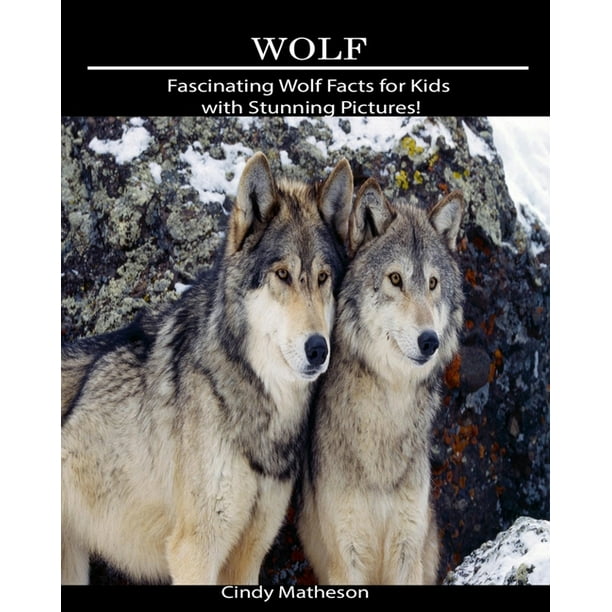 Wolf : Fascinating Wolf Facts for Kids with Stunning Pictures