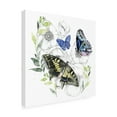 thumbnail image 2 of Trademark Fine Art 'Butterfly Floral I' Canvas Art by Jennifer Paxton Parker, 2 of 3